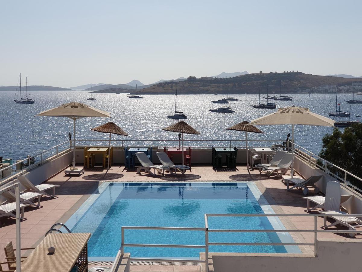 Angora Guest house 3*