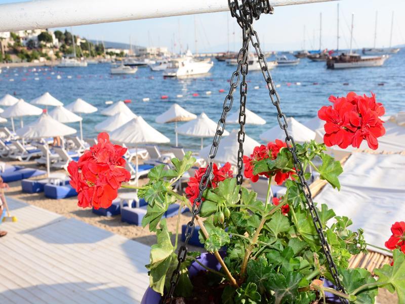 Guest house Angora 3*
